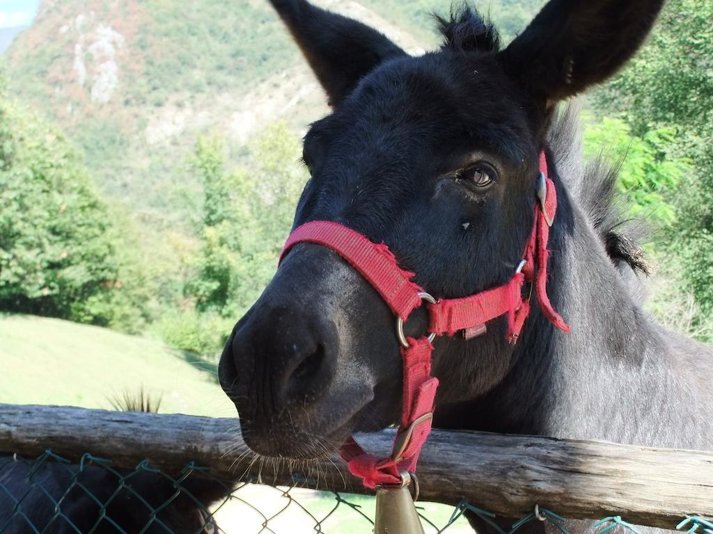 Sabbio Chiese Agriturismo Agrimonヴィラ エクステリア 写真